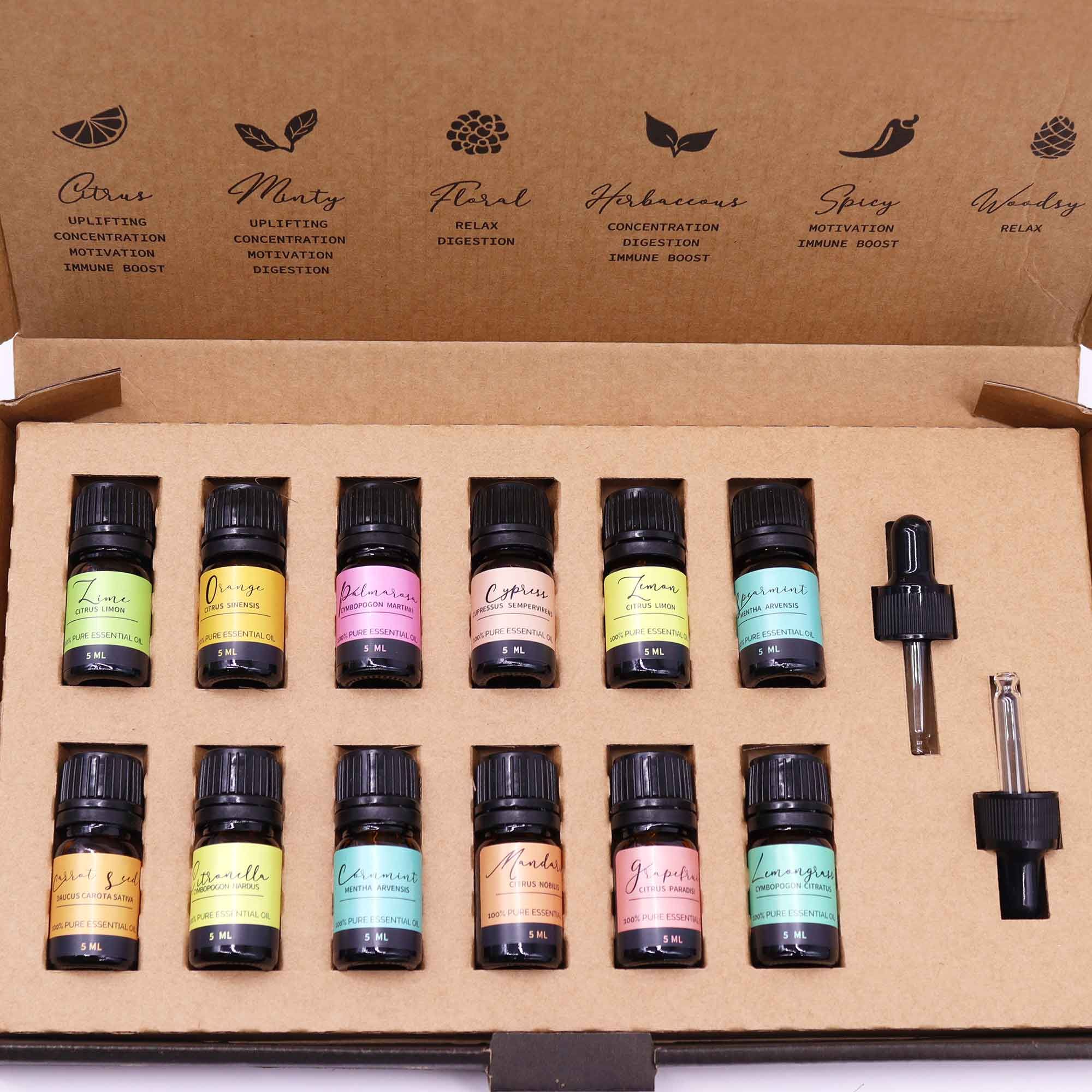 Aromatherapy Essential Oil Set - Summer - Soak Sanctuary Essential Oils