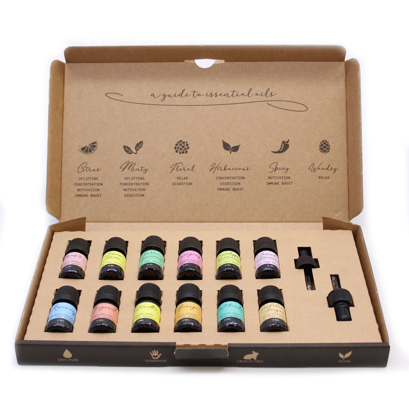 Aromatherapy Essential Oil Set - The Top 12 - Soak Sanctuary Essential Oils