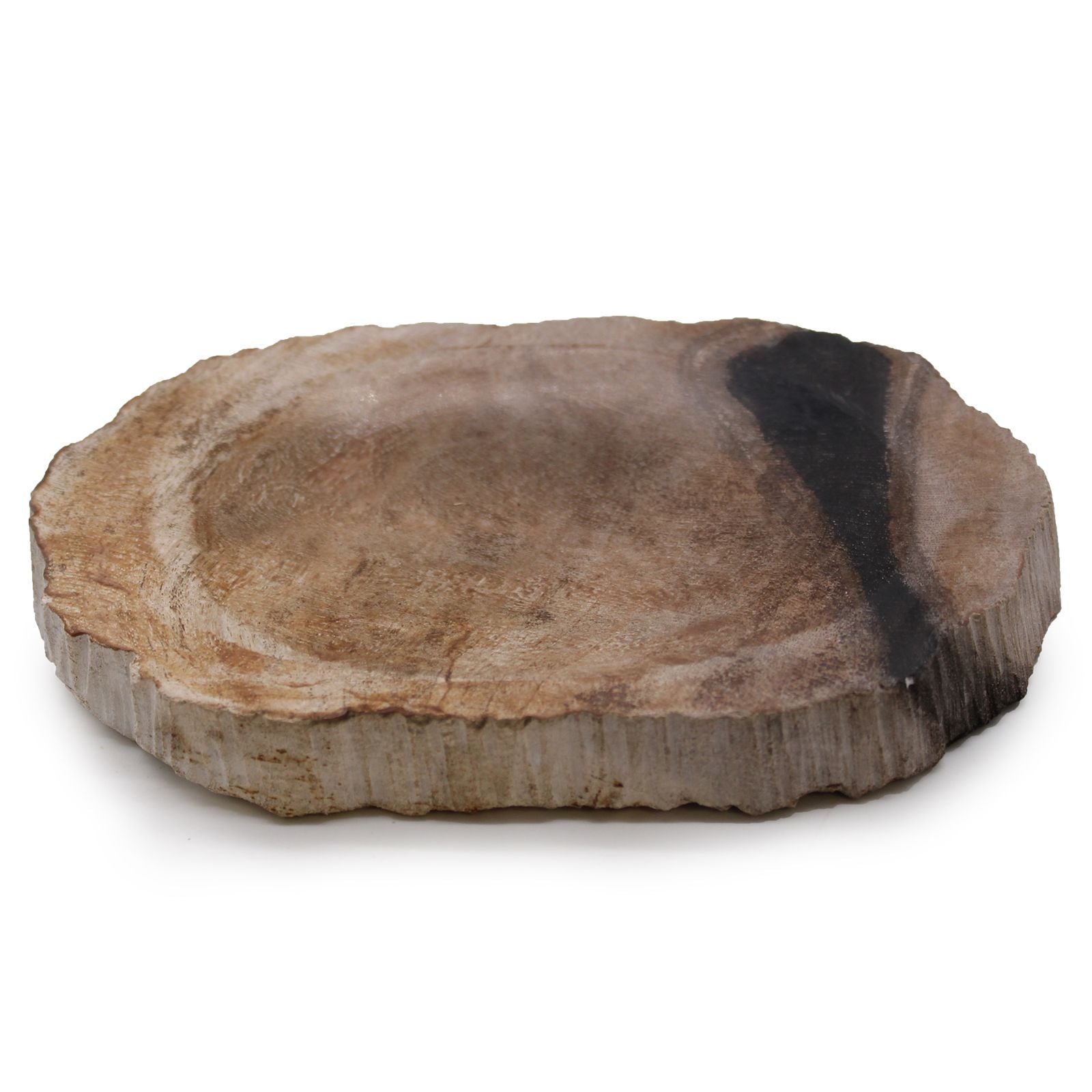 Black Petrified Wood Soap Dish - Soak Sanctuary Accessories
