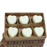 Box of 6 Wax Melts - Apple Spice - Soak Sanctuary Wax Melts