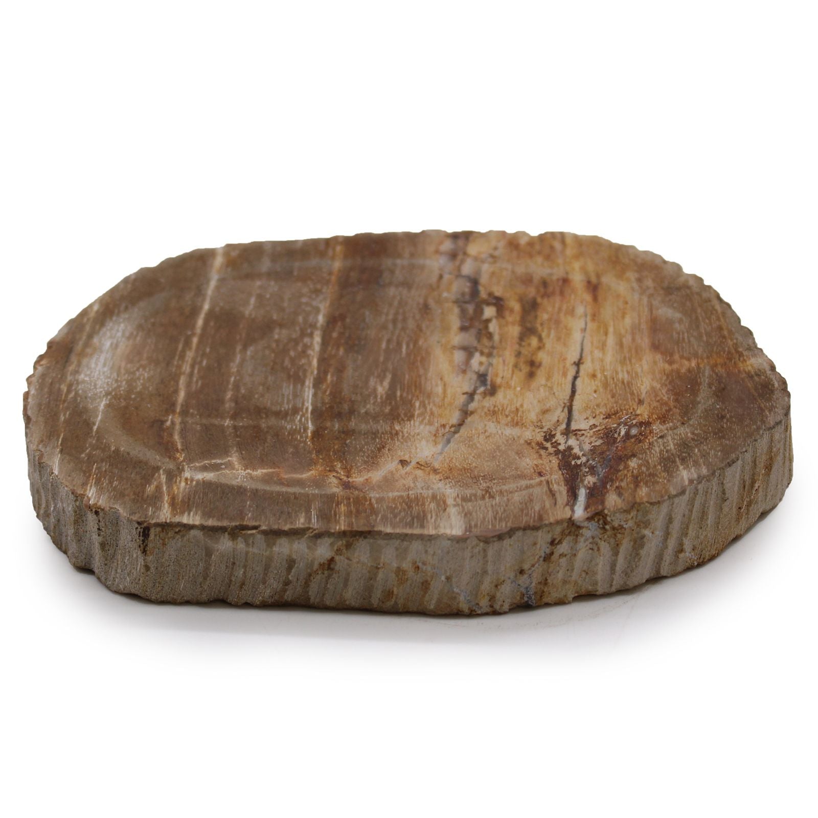 Brown Petrified Wood Soap Dish - Soak Sanctuary Accessories