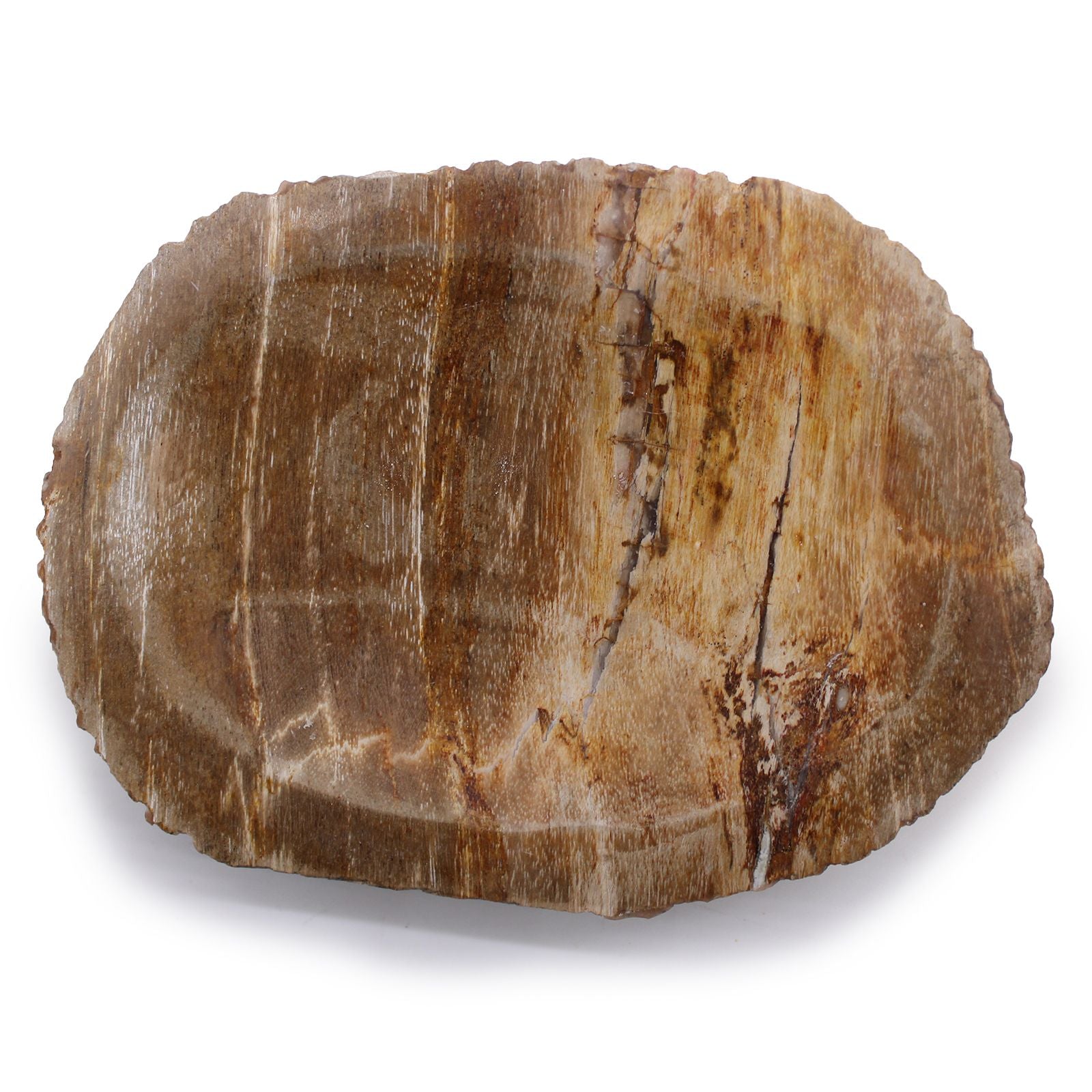 Brown Petrified Wood Soap Dish - Soak Sanctuary Accessories