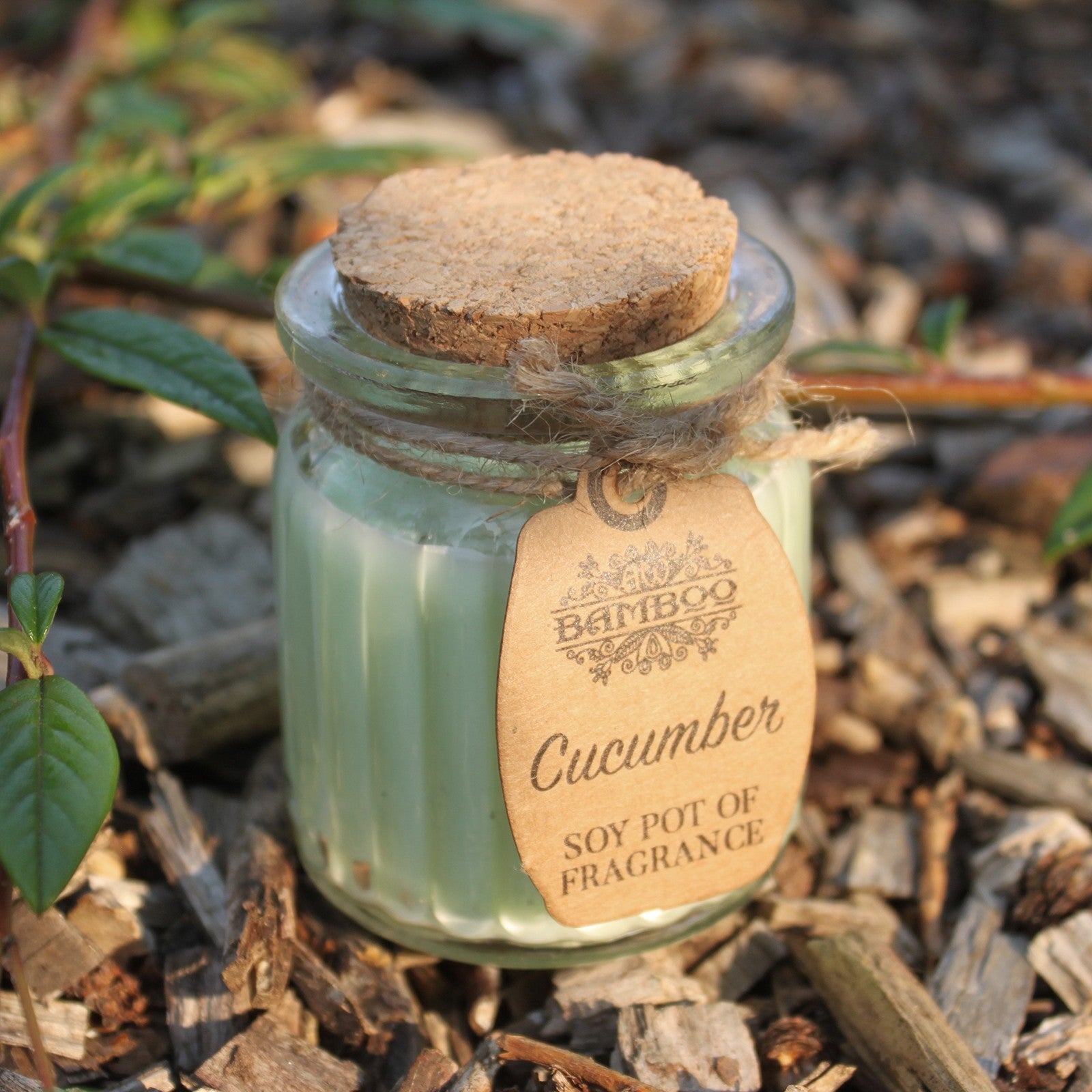 Cucumber Soy Candle Pots (Pk 2) - Soak Sanctuary Candles