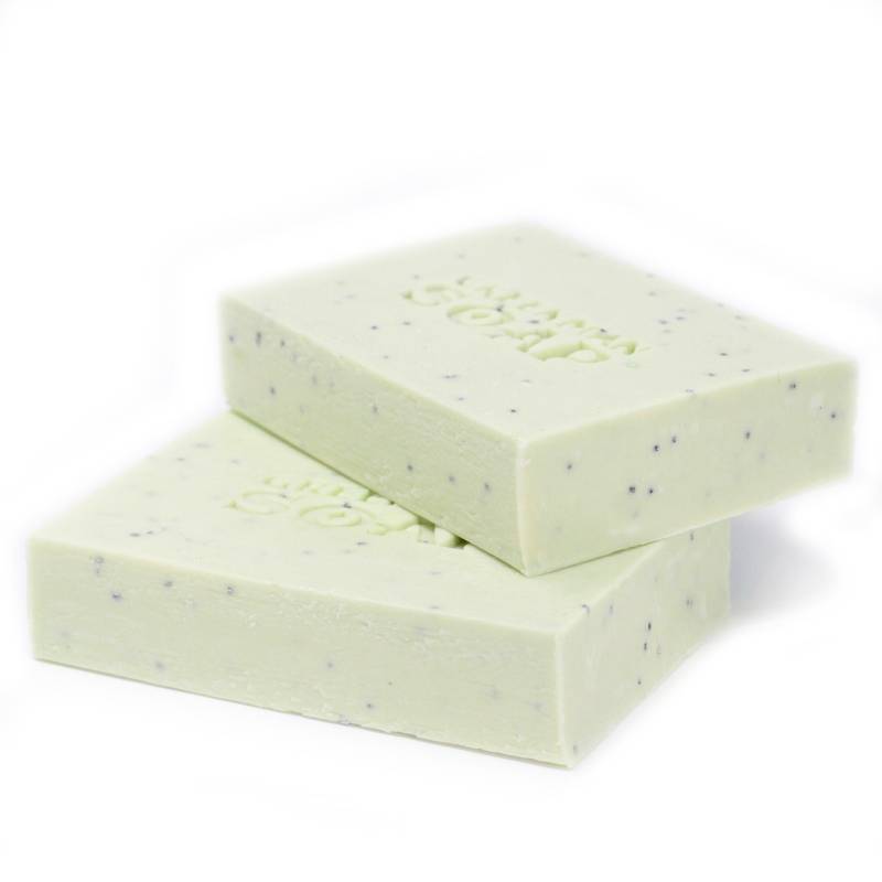 Greenman Soap - Antiseptic Spot Attack - Soak Sanctuary Soap