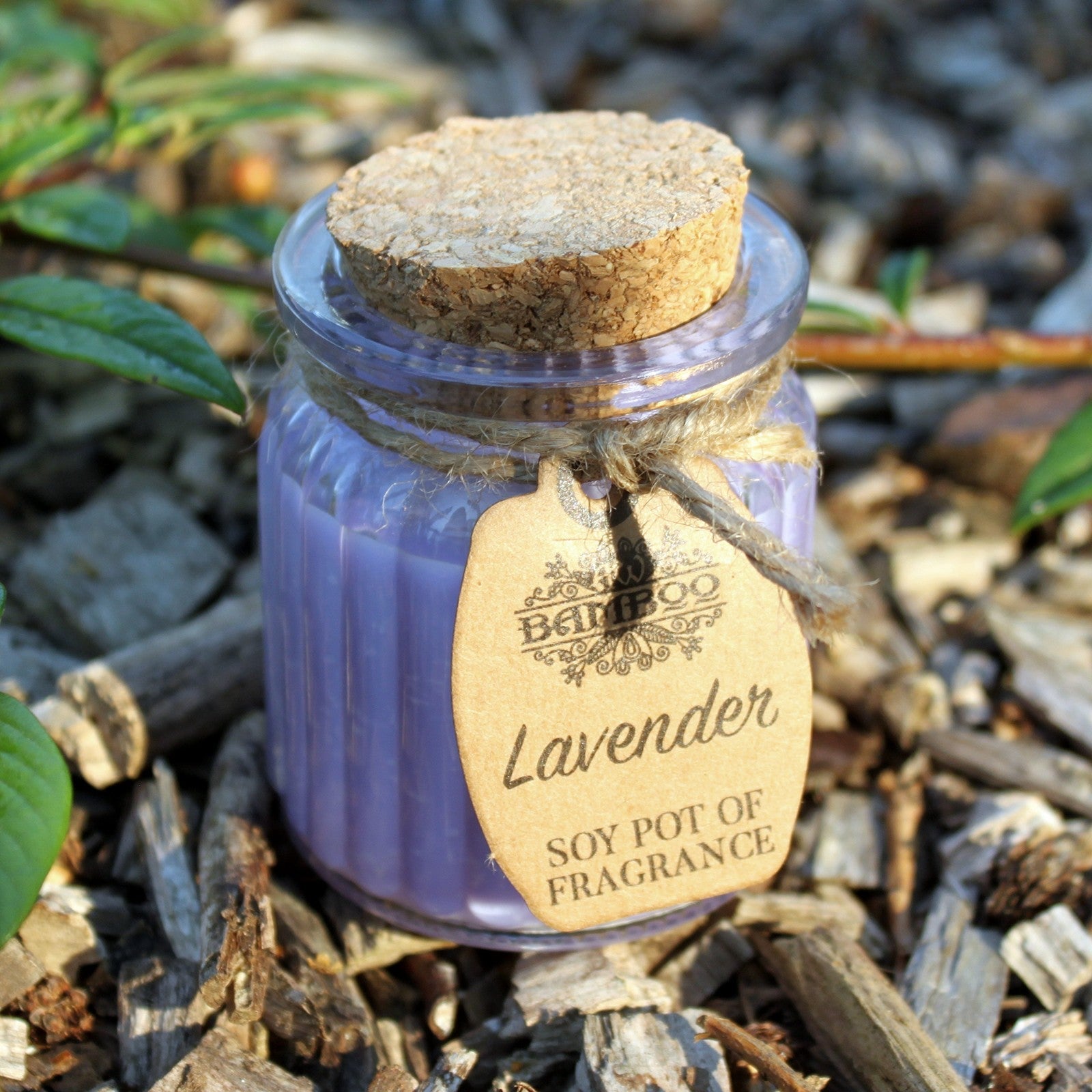 Lavender Soy Candle Pots (Pk 2) - Soak Sanctuary Candles