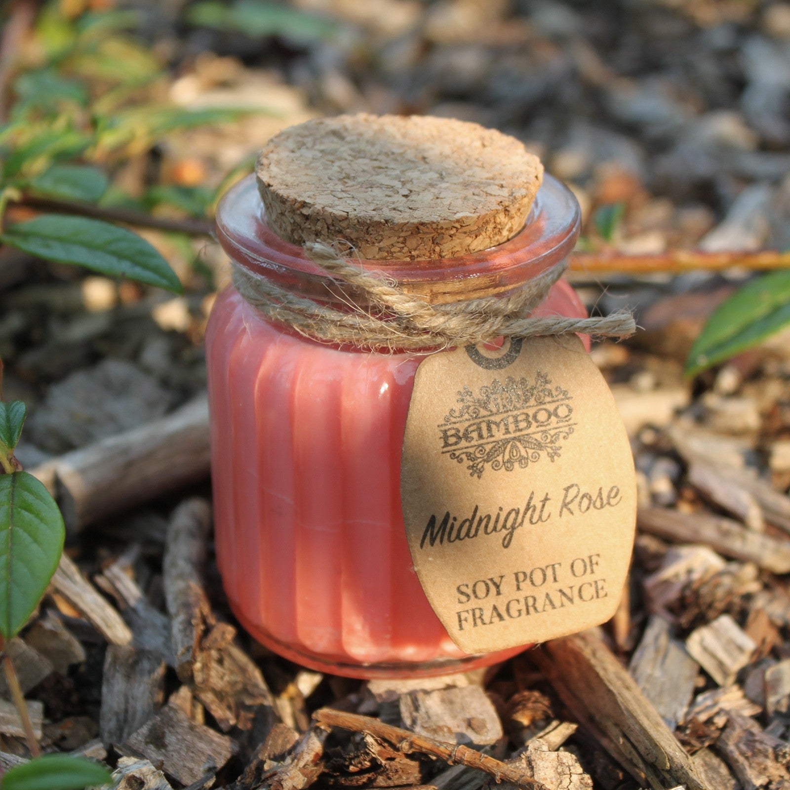 Midnight Rose Soy Candle Pots (Pk 2) - Soak Sanctuary Candles