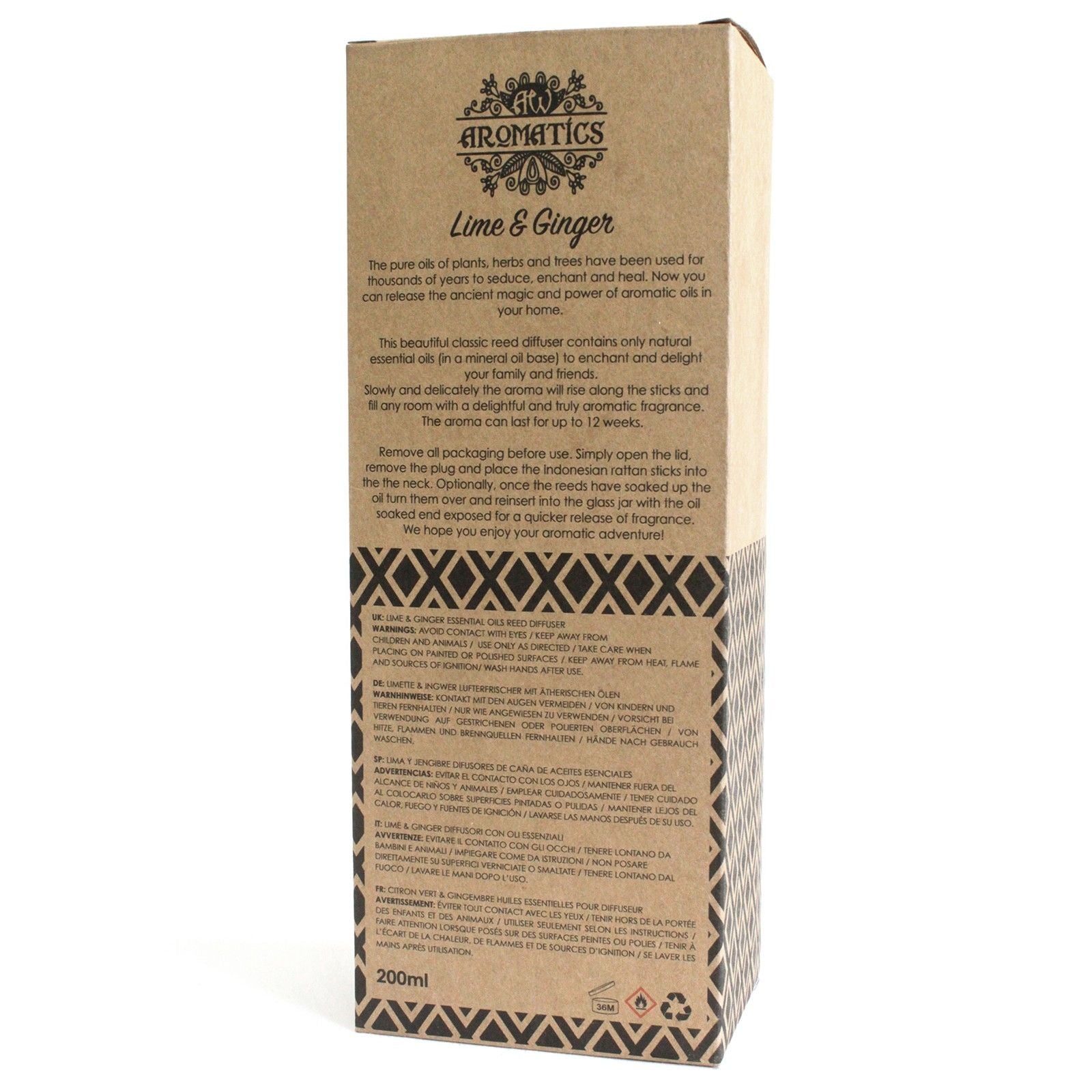 200ml Lime & Ginger Essential Oil Reed Diffuser - Soak Sanctuary Room Fragrance