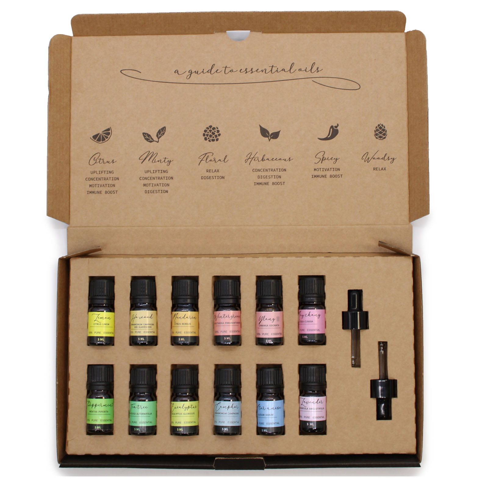 Aromatherapy Essential Oil Set - Starter Pack - Soak Sanctuary Essential Oils