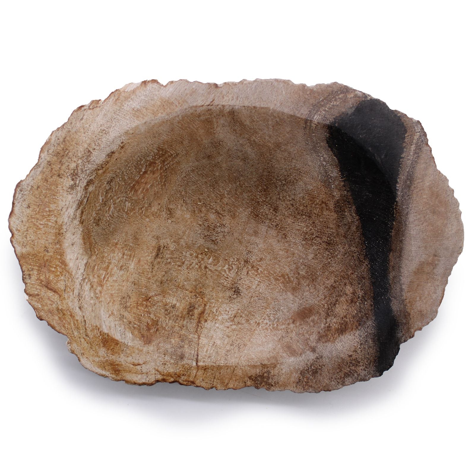 Black Petrified Wood Soap Dish - Soak Sanctuary Accessories