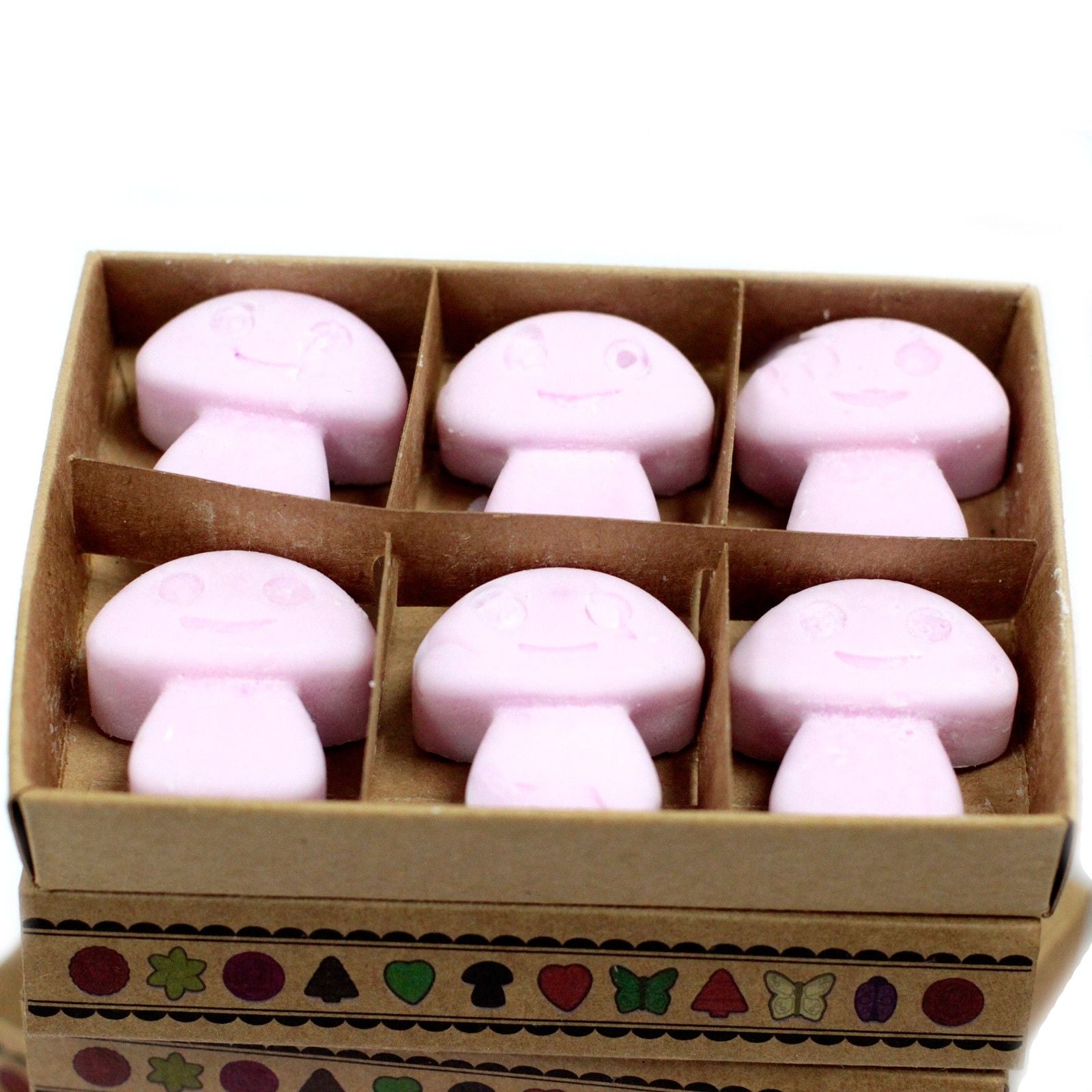 Box of 6 Wax Melts - Ylang Ylang - Soak Sanctuary Wax Melts
