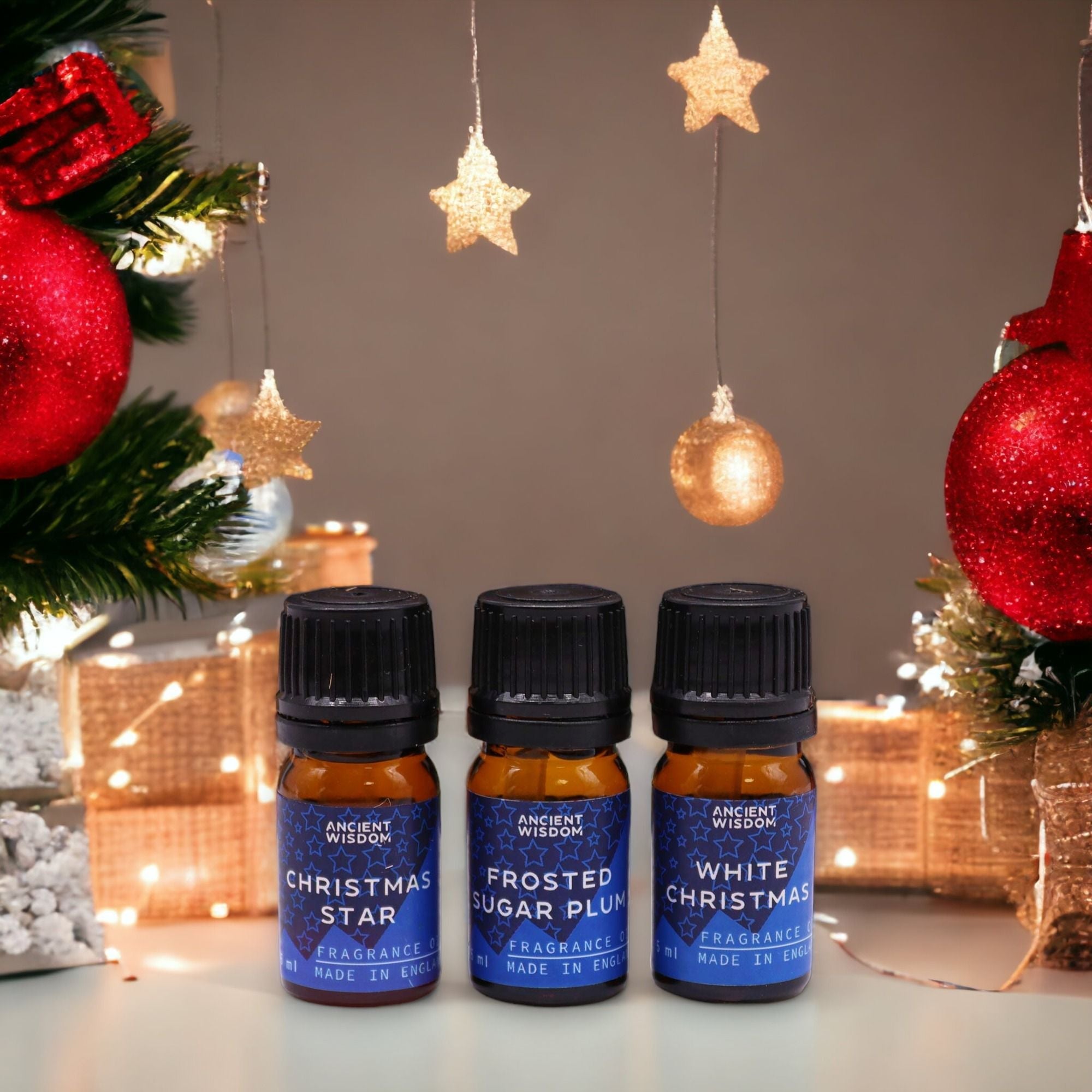 Festive Delights Fragrance Set - Soak Sanctuary Fragrance Oils