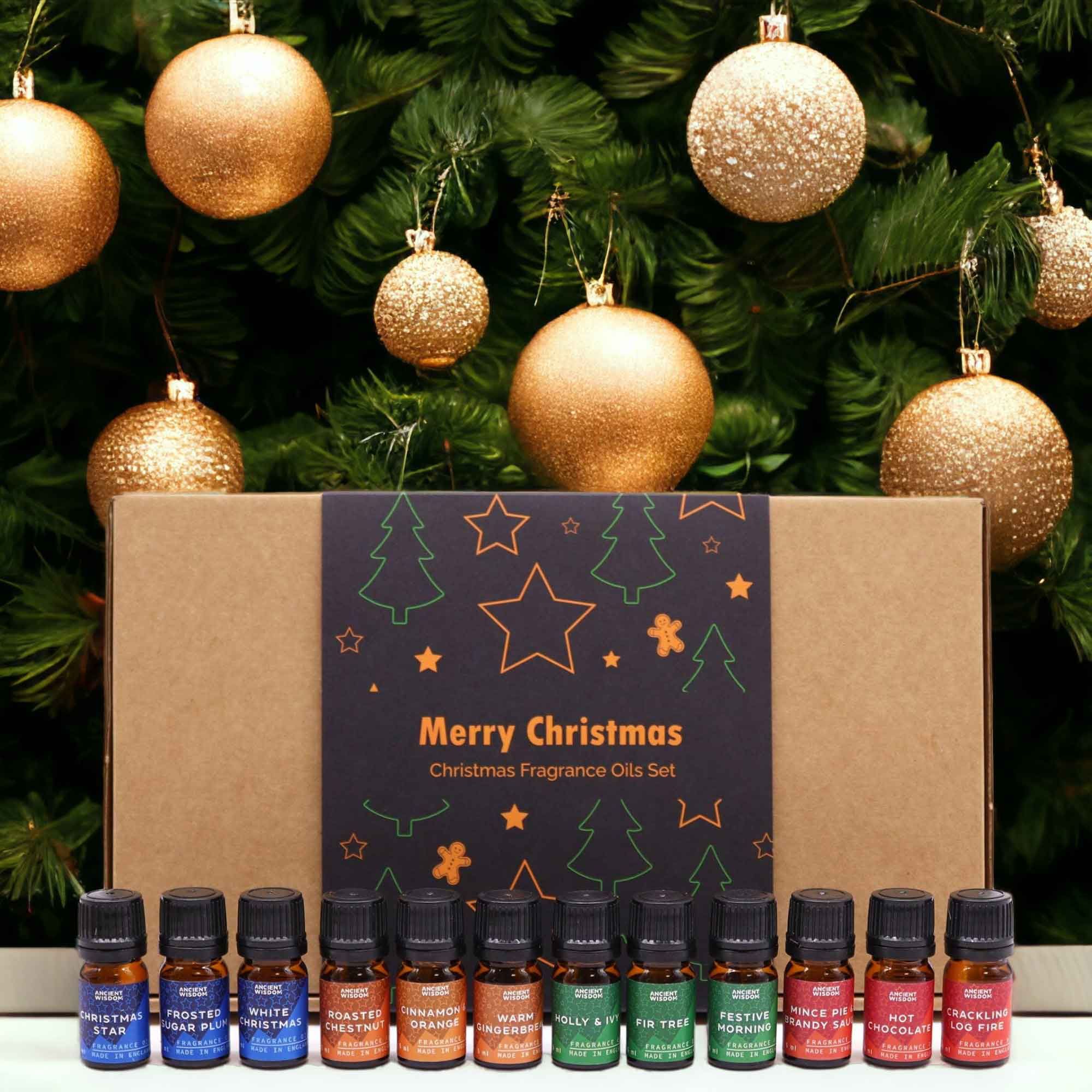 Festive Delights Fragrance Set - Soak Sanctuary Fragrance Oils