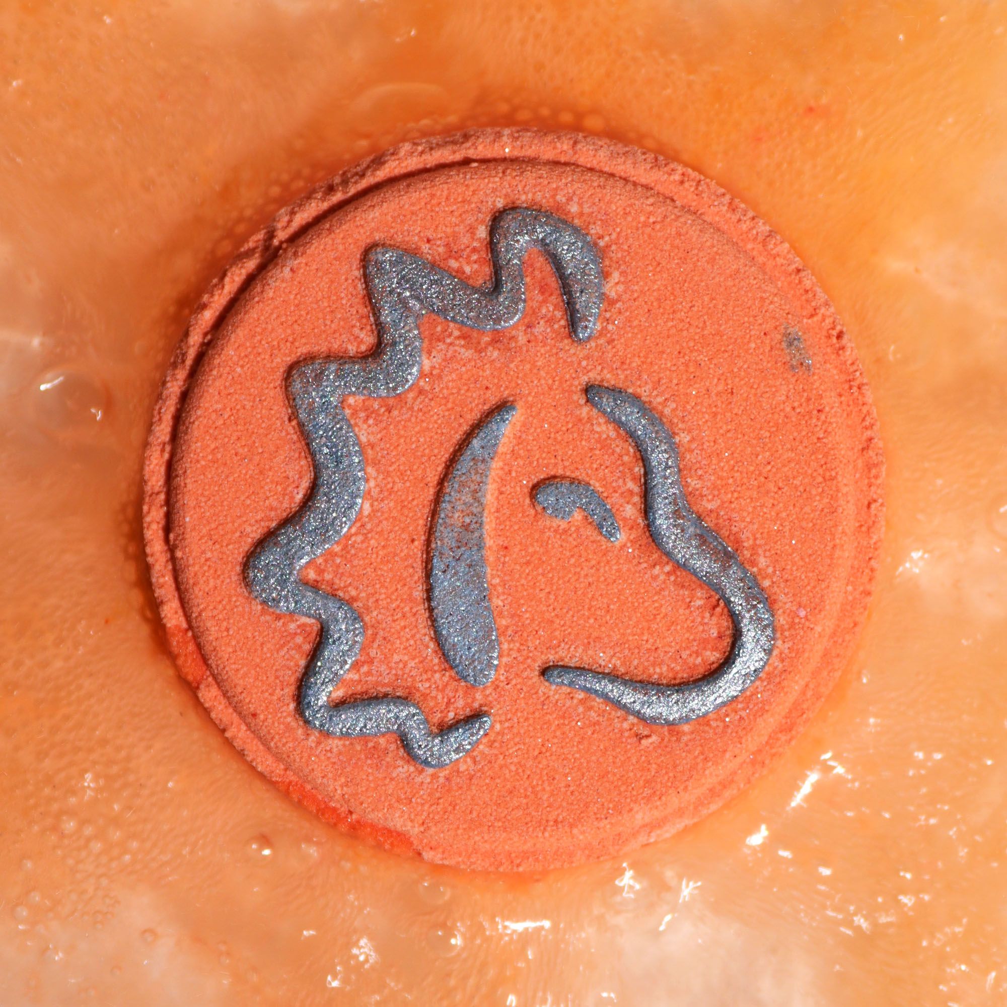Leo Bath Fizzers with Horoscope - Soak Sanctuary Bath Bombs