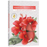 Set of 6 Scented Tealights - Hibiscus & White Sage - Soak Sanctuary Candles