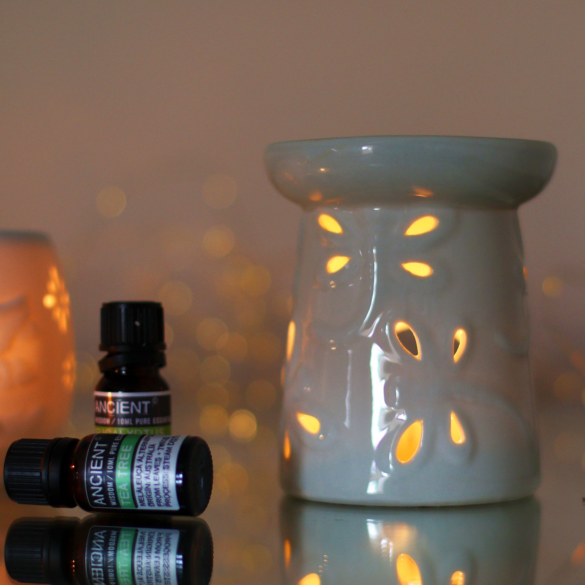 White Oil Burner - Dragonfly - Soak Sanctuary Room Fragrance