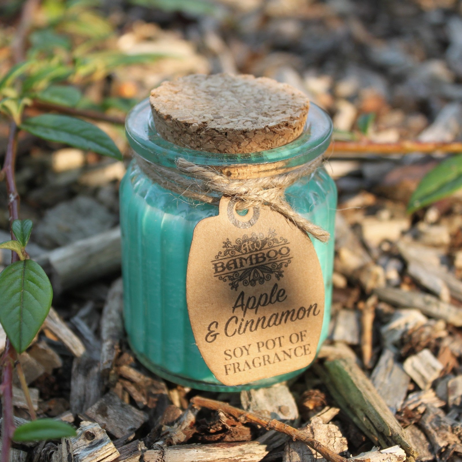Apple & Cinnamon Soy Candle Pots (Pk 2) - Soak Sanctuary Candles
