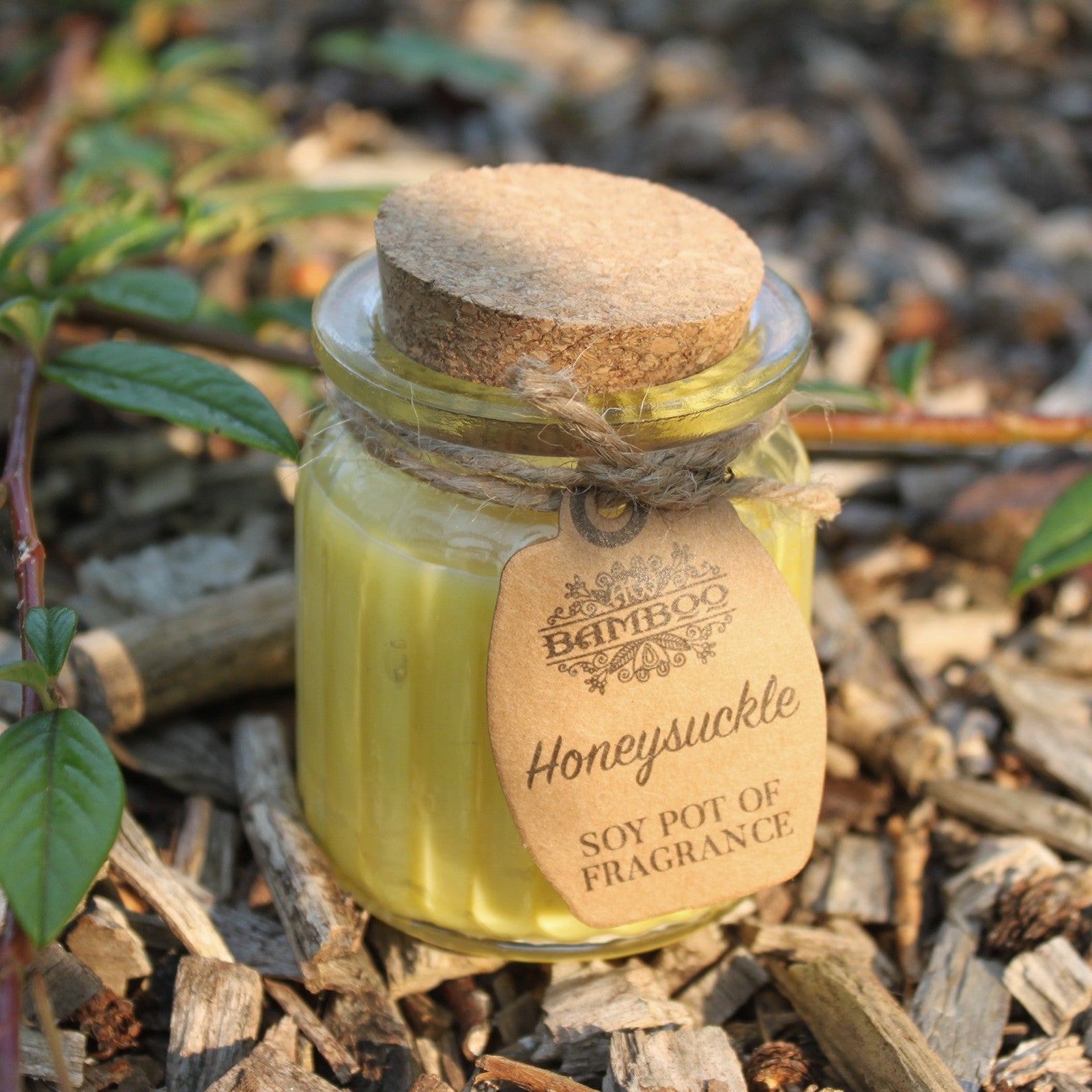 Honeysuckle Soy Candle Pots (Pk 2) - Soak Sanctuary Candles