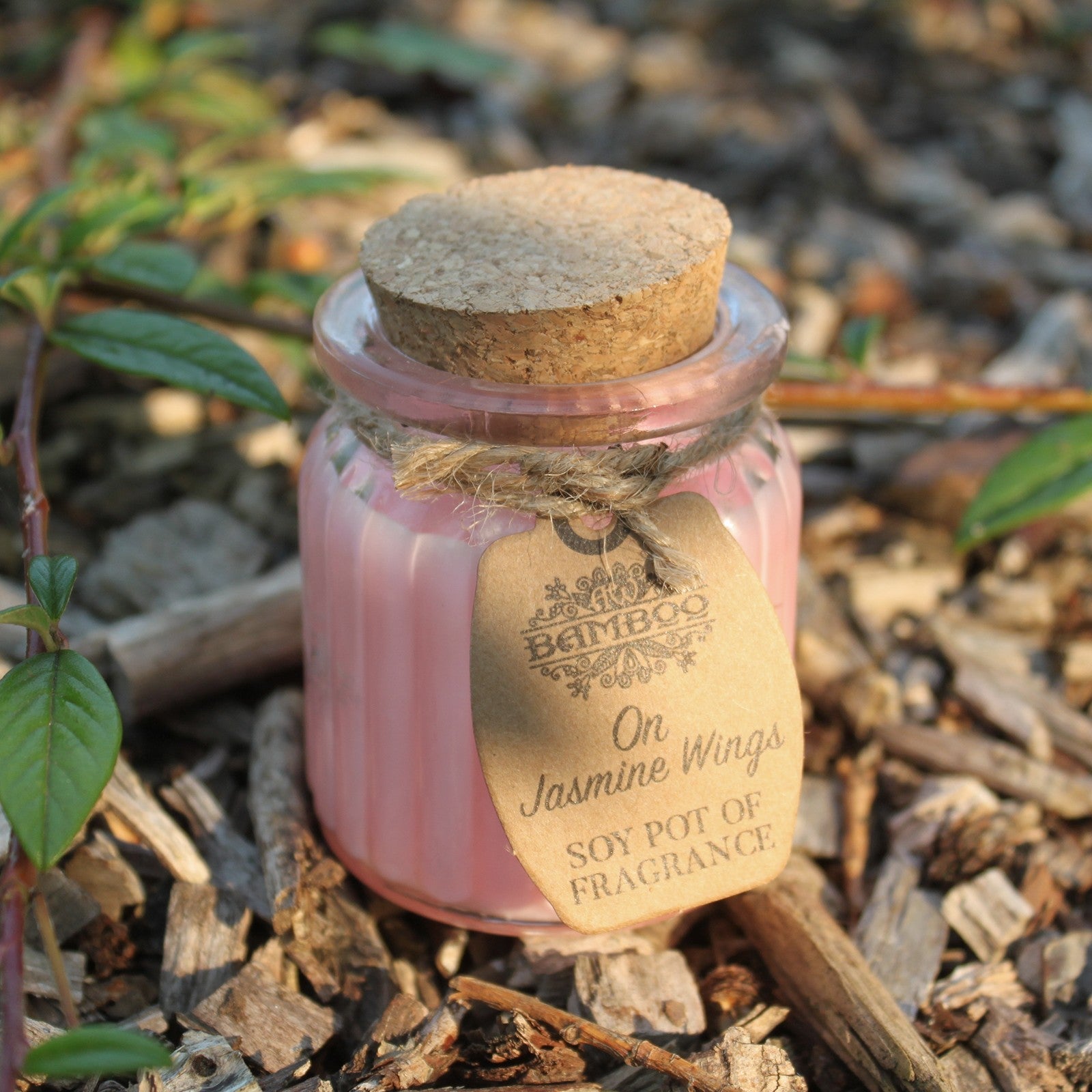 Jasmine Soy Candle Pots (Pk 2) - Soak Sanctuary Candles