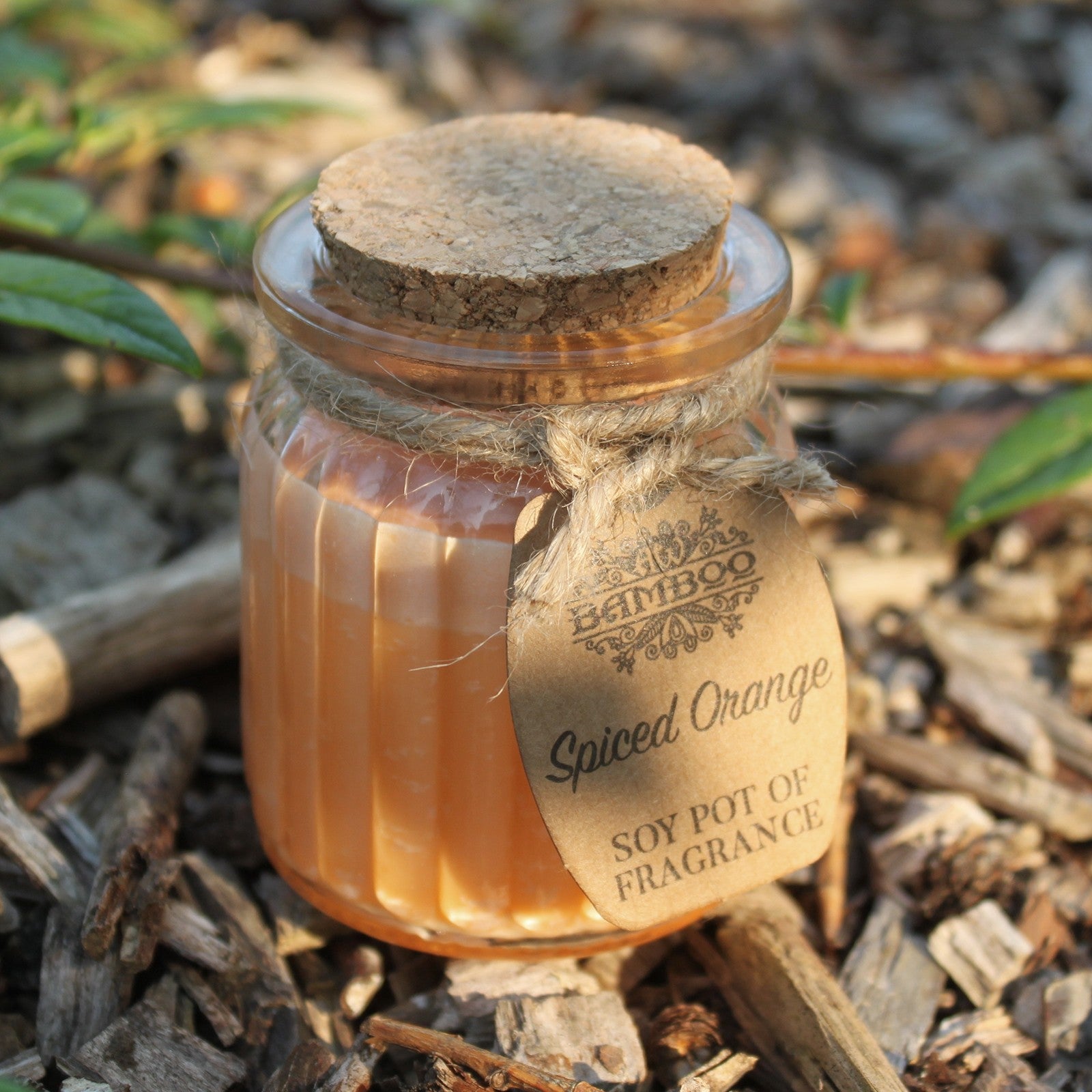 Spiced Orange Soy Candle Pots (Pk 2) - Soak Sanctuary Candles