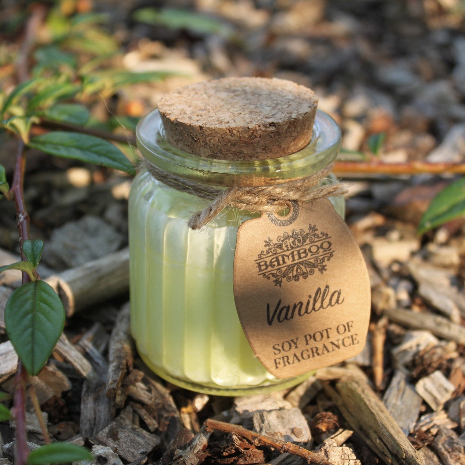 Vanilla Soy Candle Pots (Pk 2) - Soak Sanctuary Candles