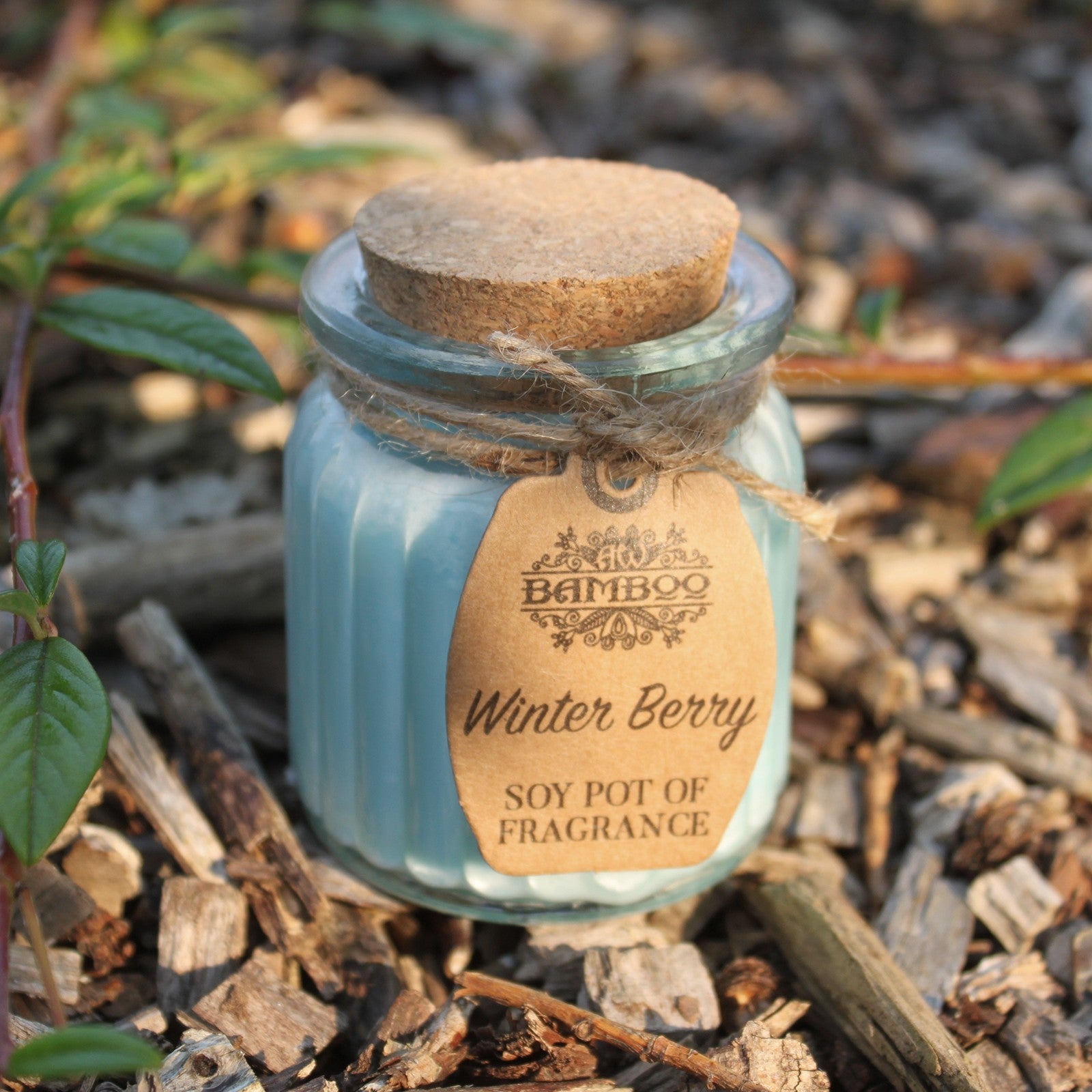 Winter Berry Soy Candle Pots (Pk 2) - Soak Sanctuary Candles